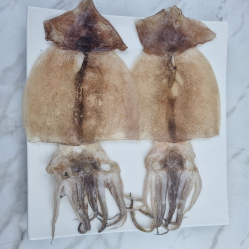 부산창고: 반건조 오징어 소 10미