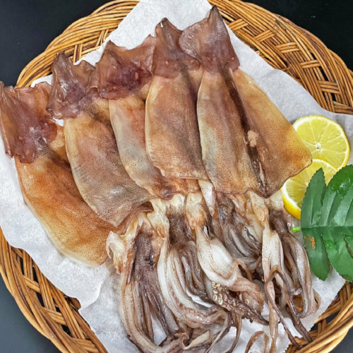 동해창고: 정품 반건조 오징어 중 5미